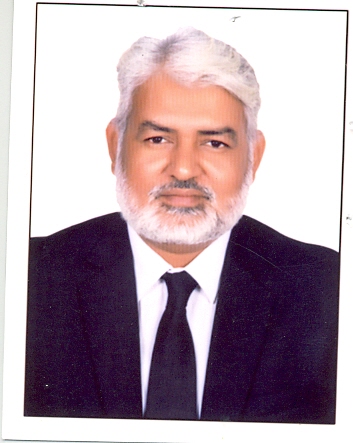 Hassan Raza Shah